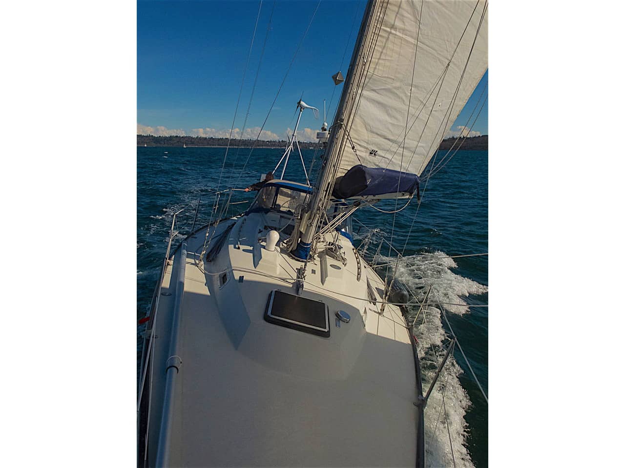 sailing w/ Hans
