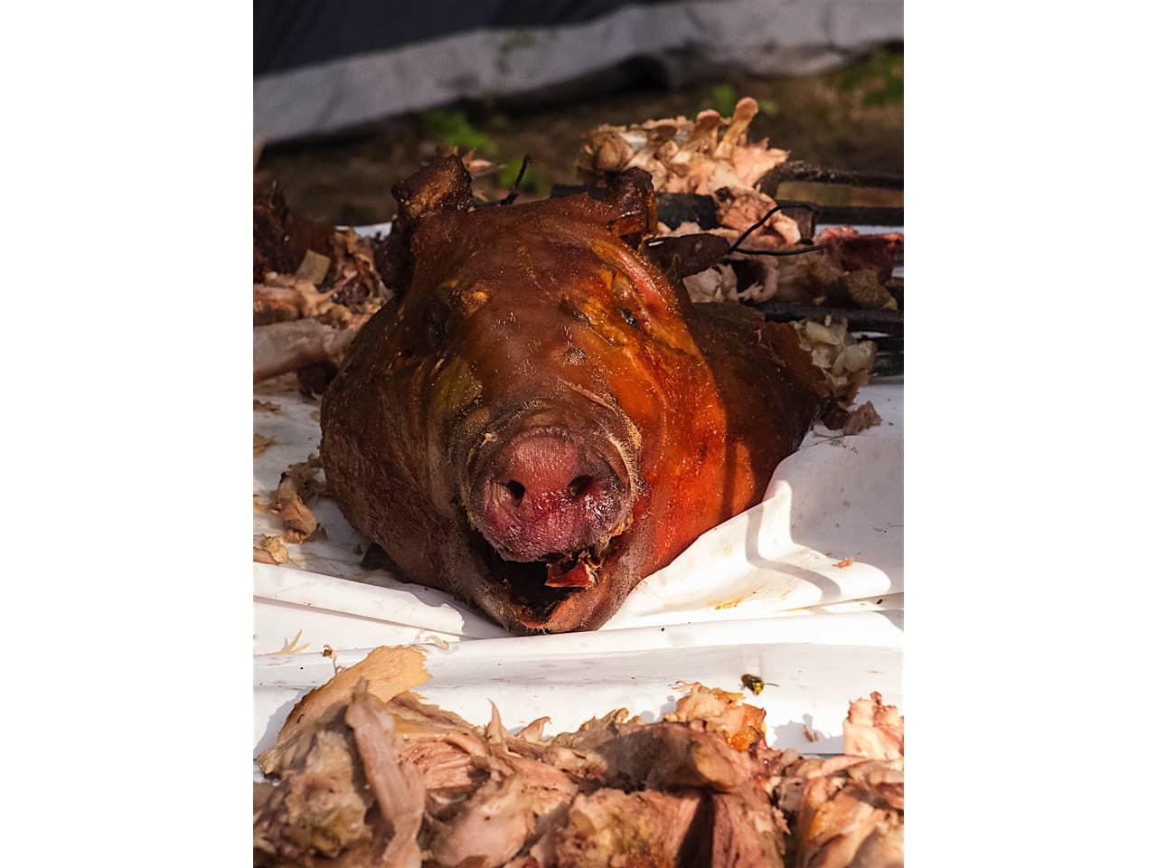 2018 Pig Roast