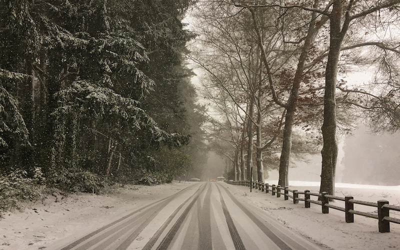 Snowy Olympic Dr.