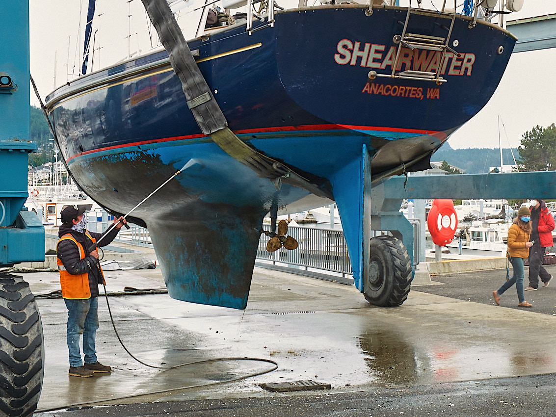 Passport Shearwater Survey