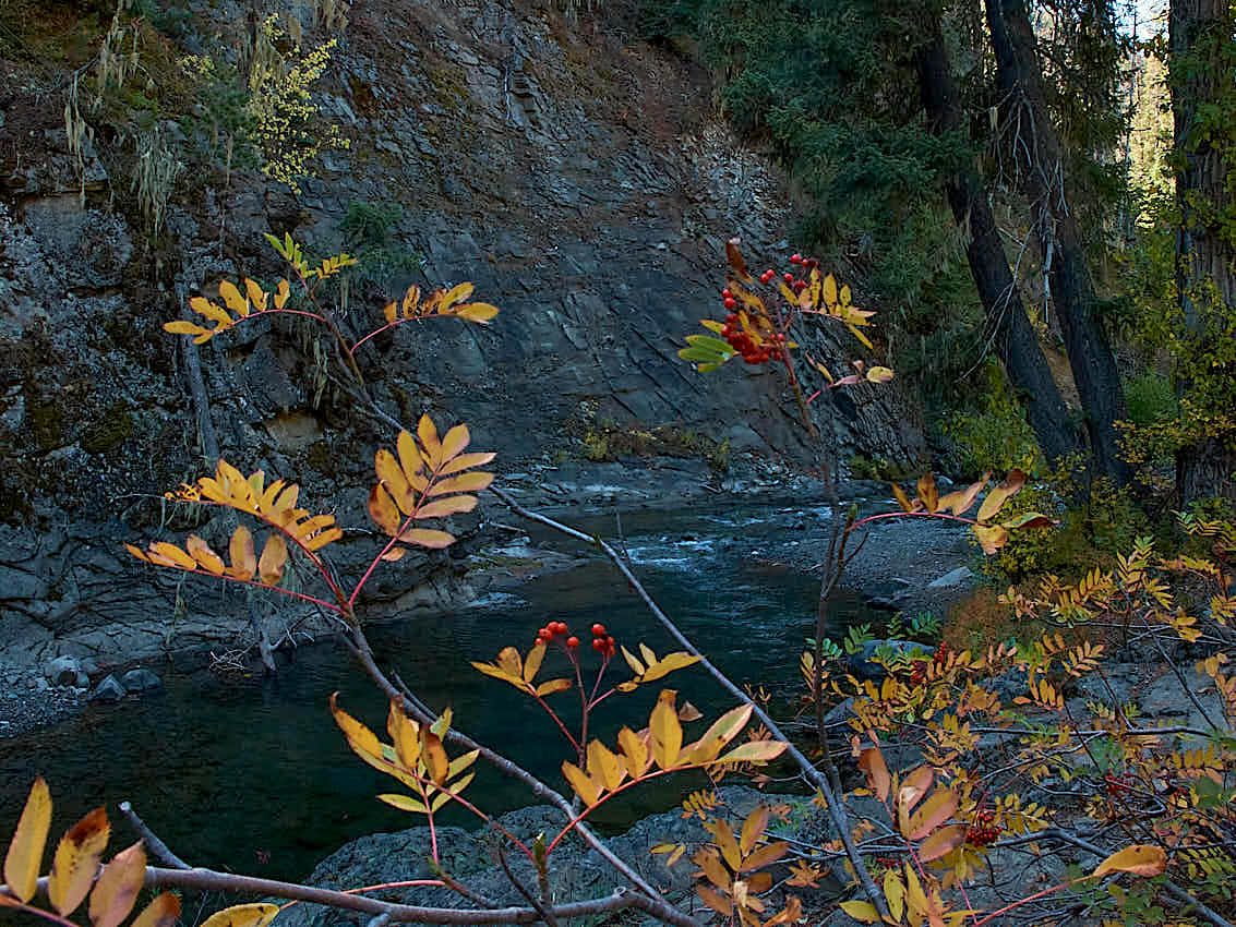 FallColors