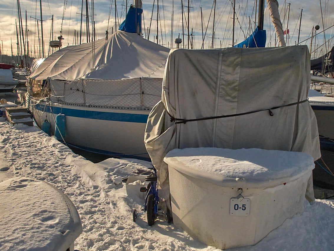 Shilshole Snow