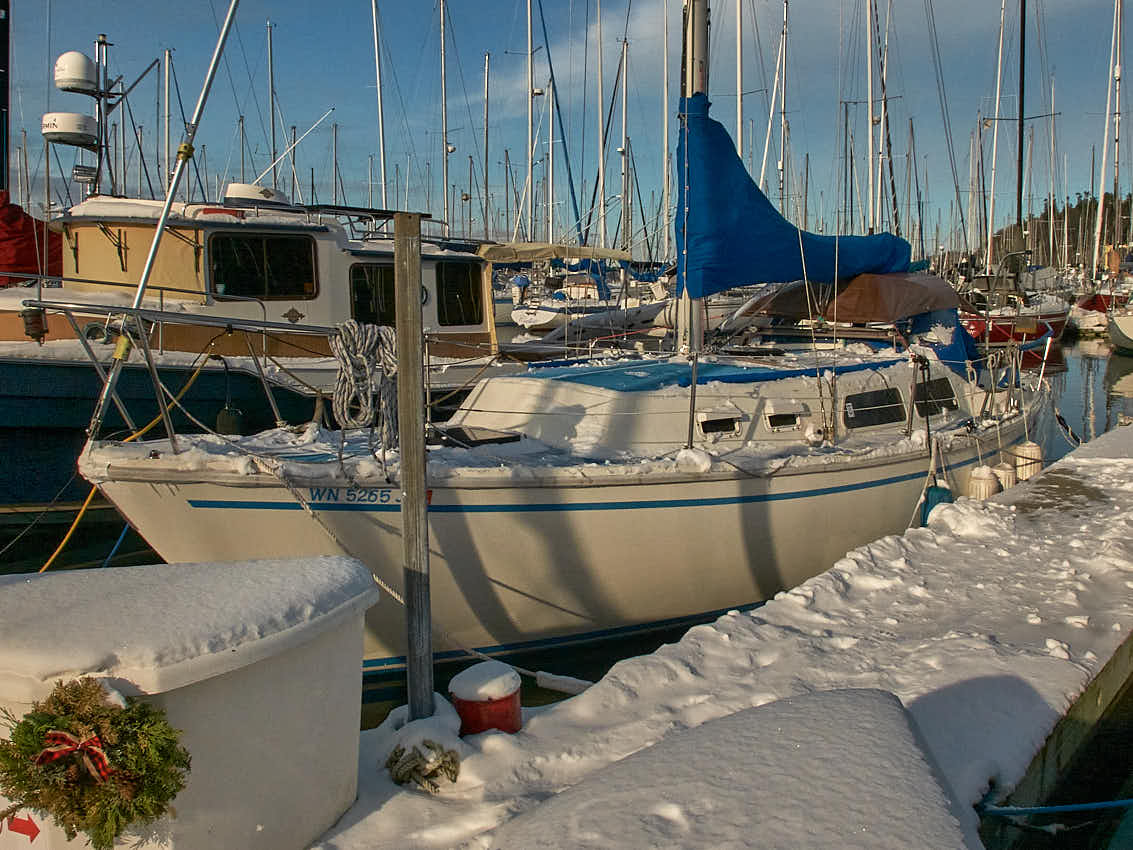 Shilshole Snow