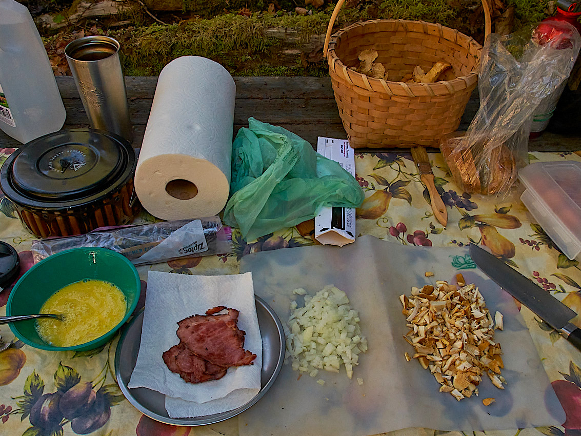 Mushroom Camping