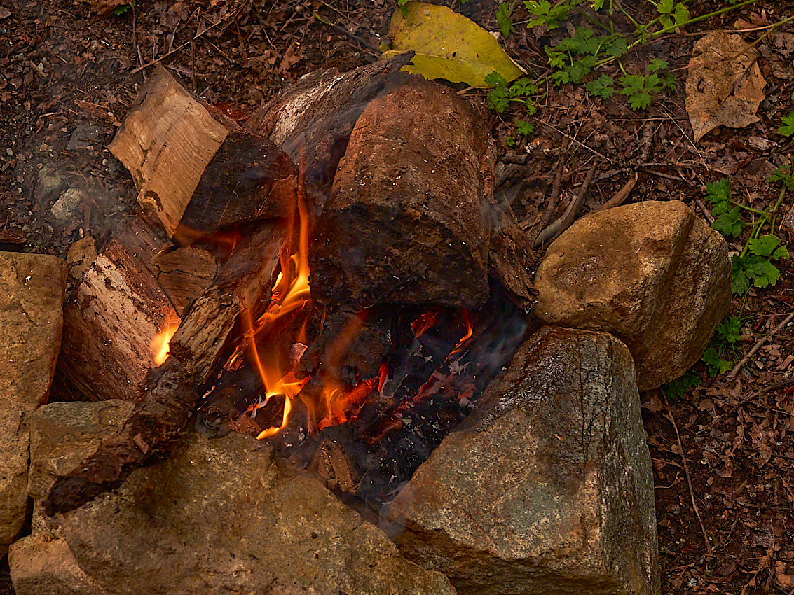 Mushroom Camping