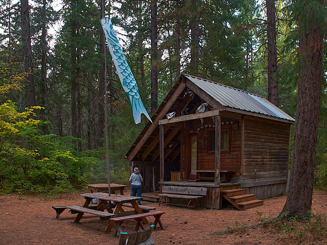 Mushroom Camping