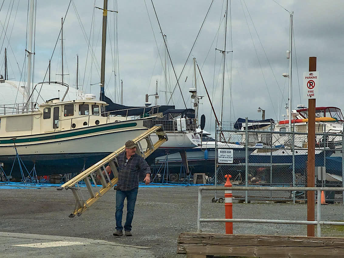 Island Packet 40 s/v Songline