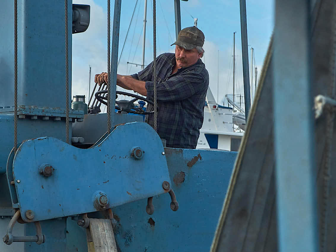 Island Packet 40 s/v Songline