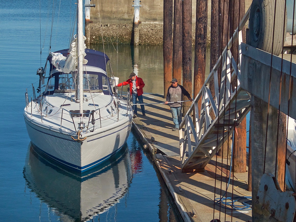 Catalina36SurveySail