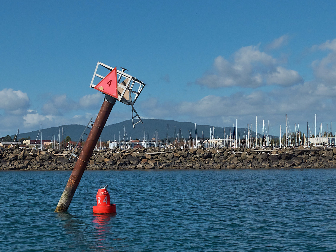 Catalina36SurveySail