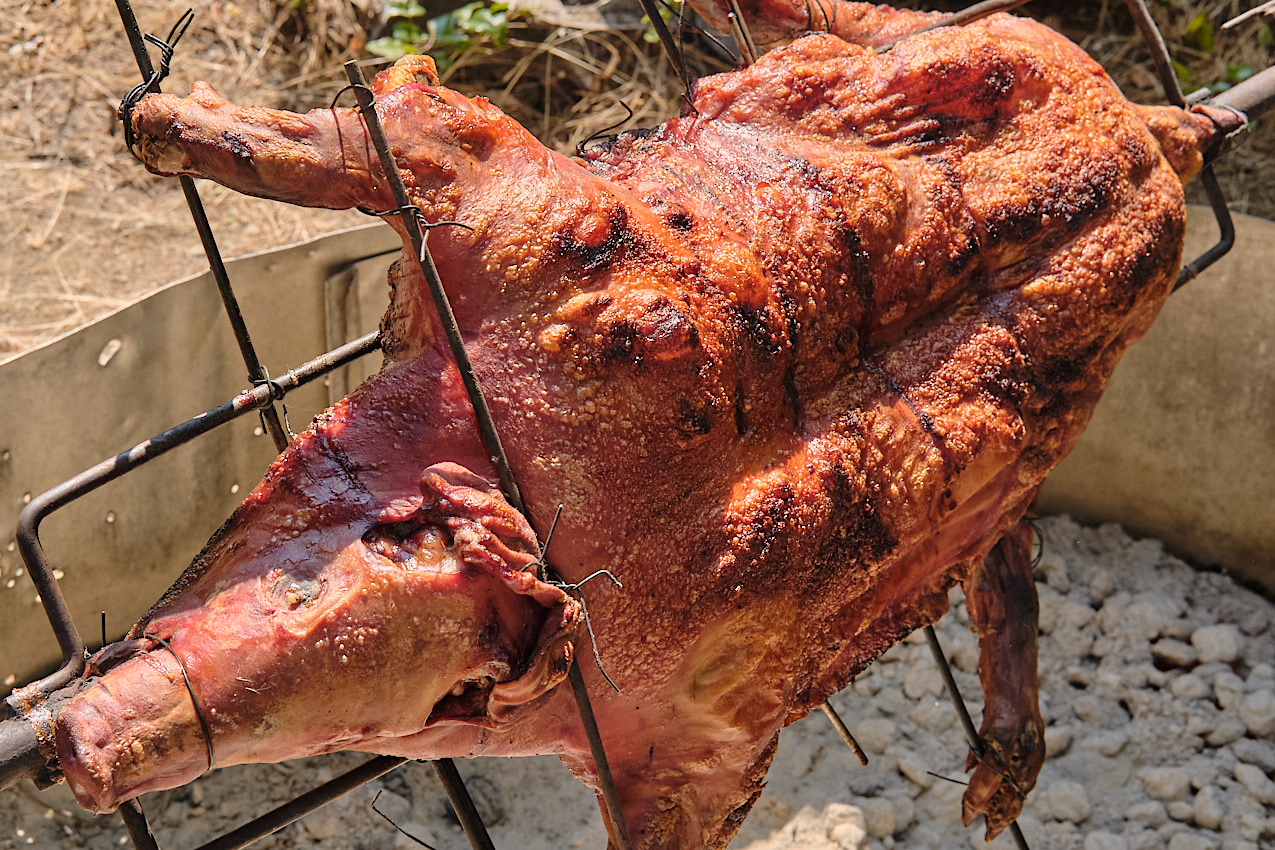 Banti Pig Roast