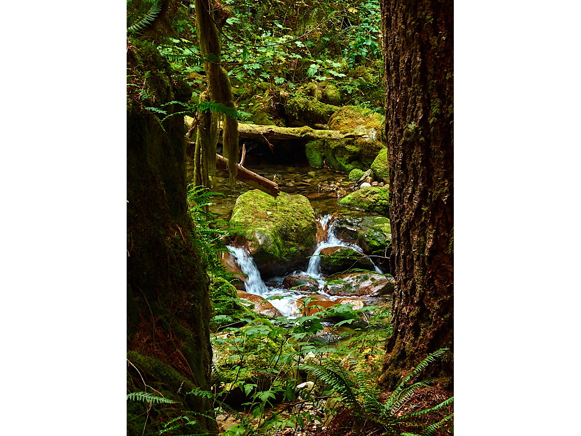 Skykomish Camp