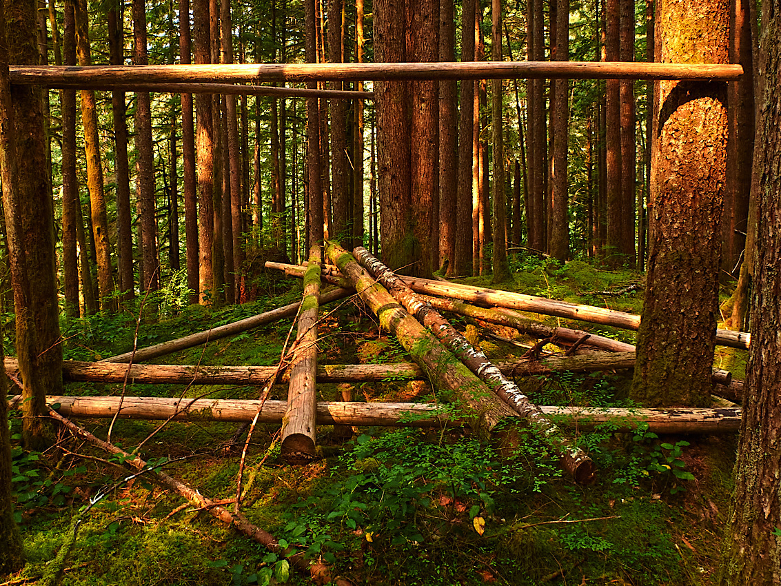 Skykomish Camp