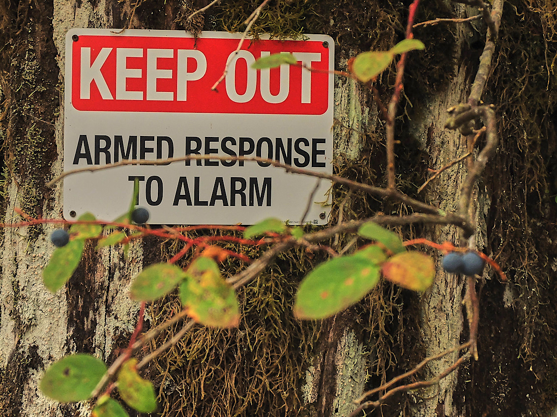 Skykomish Camp