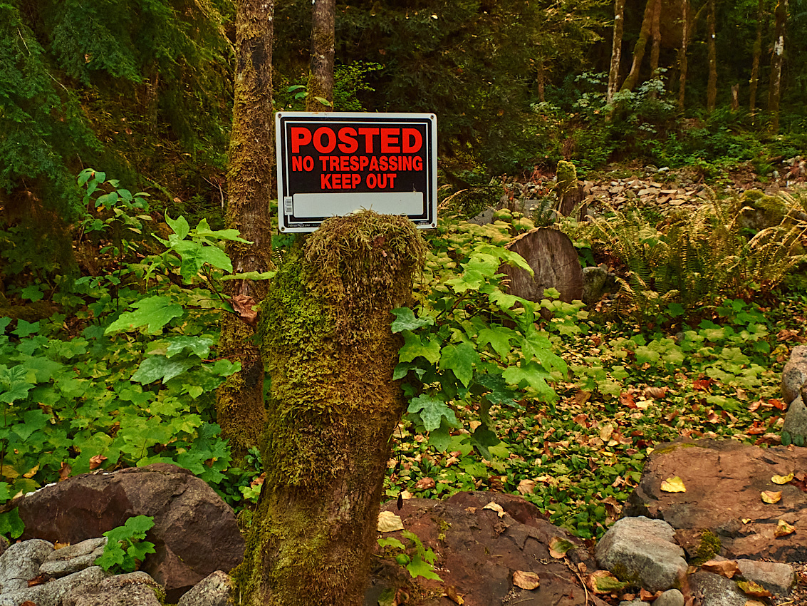 Skykomish Camp