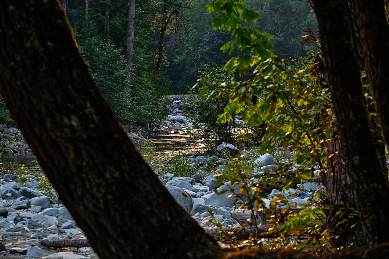 Skykomish Camp