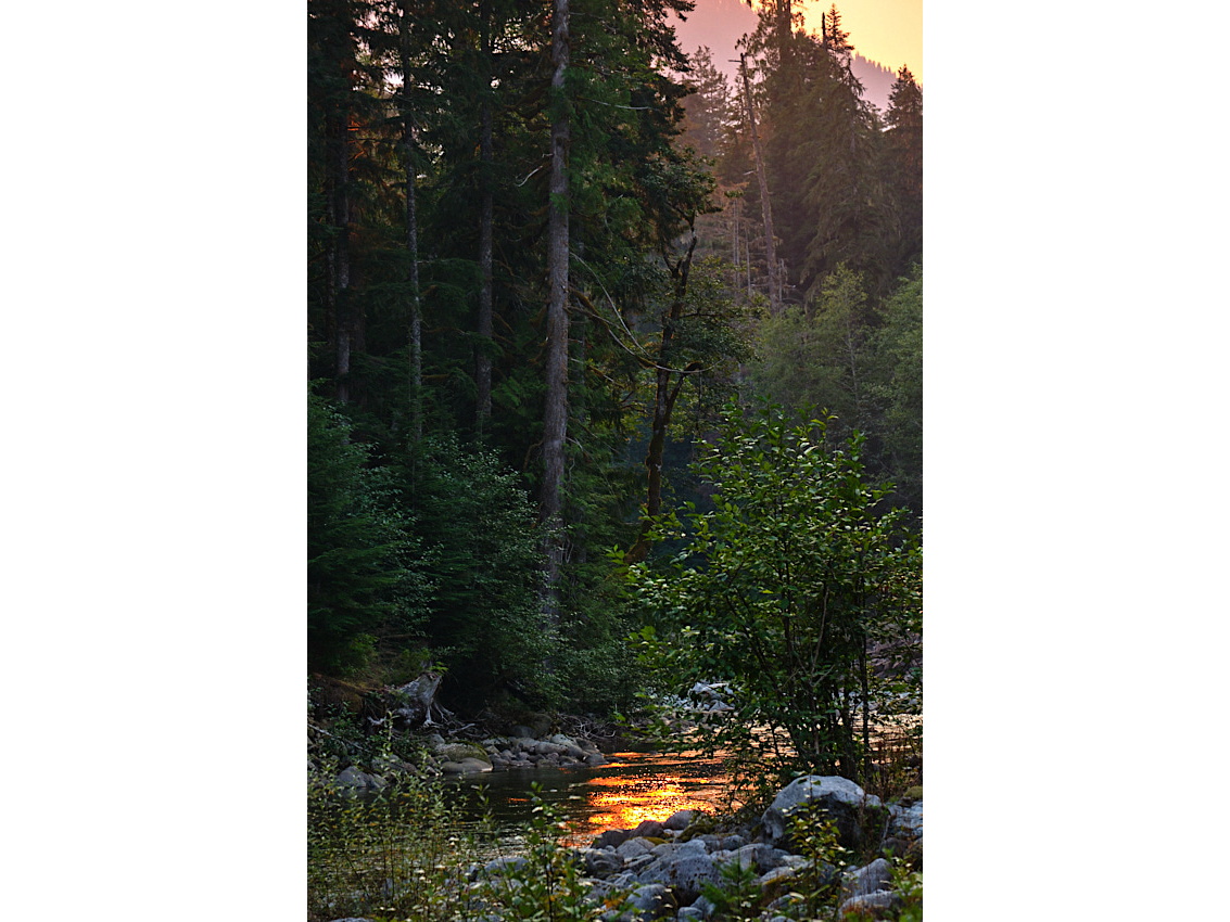 Skykomish Camp