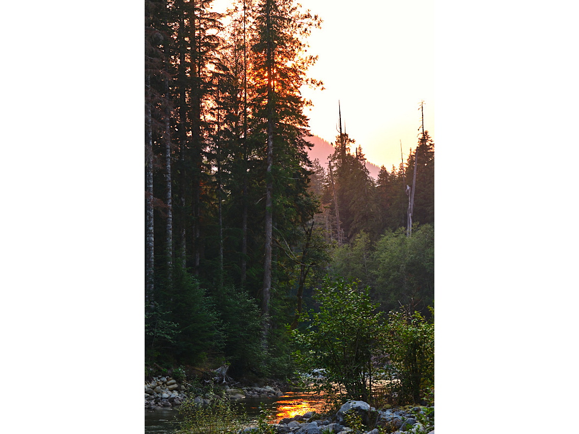 Skykomish Camp