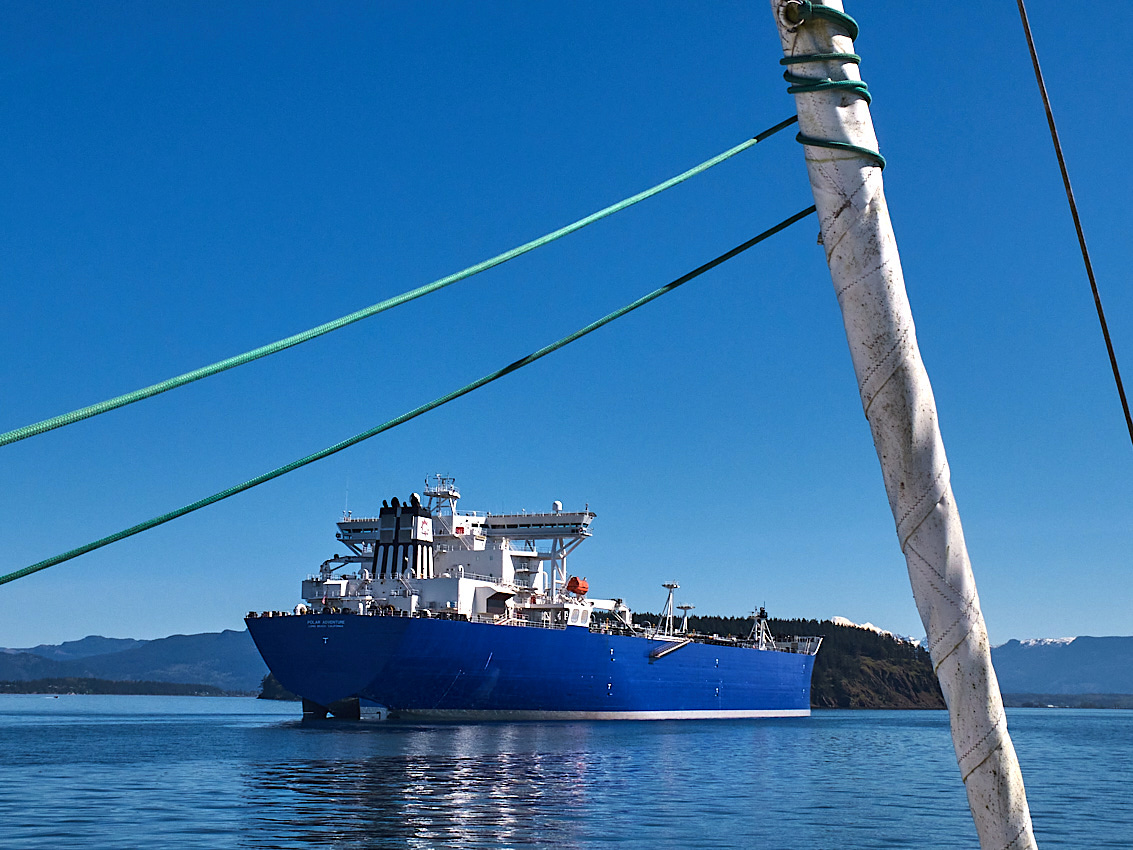 Mahe36_Survey
