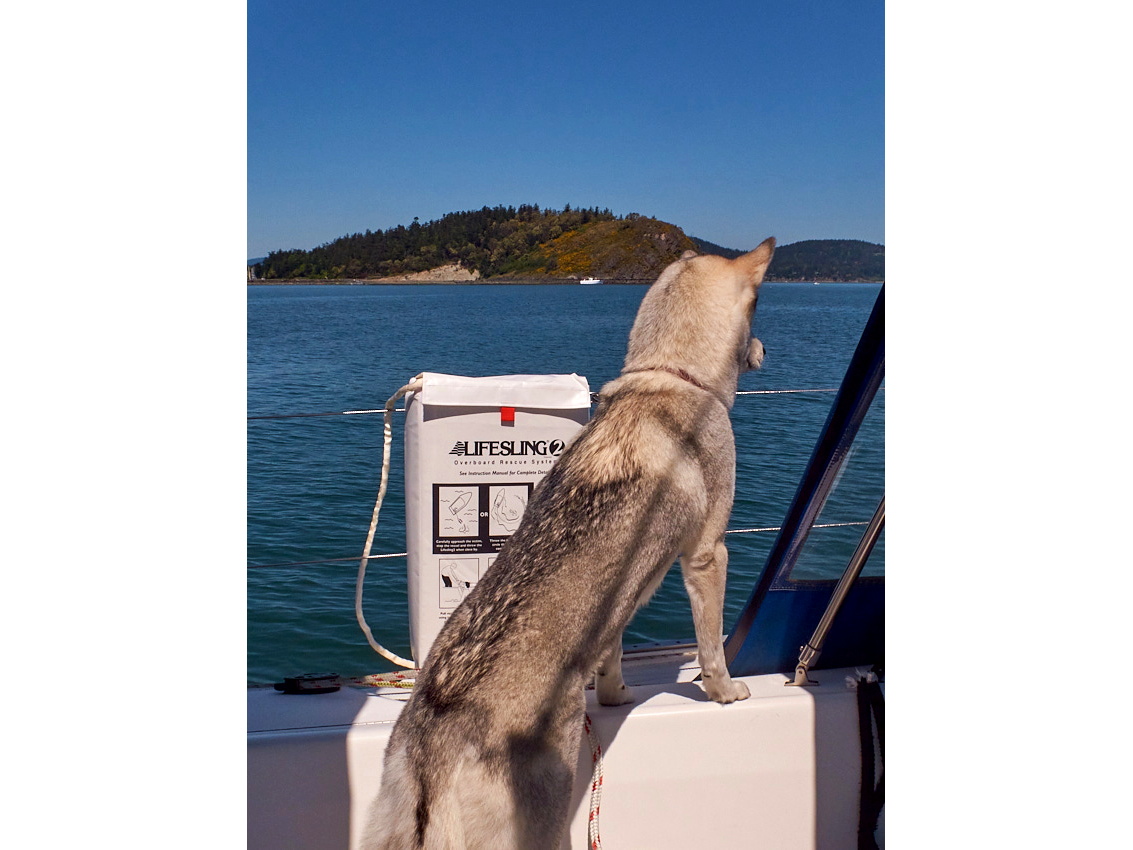 Jerry's Catalina 36