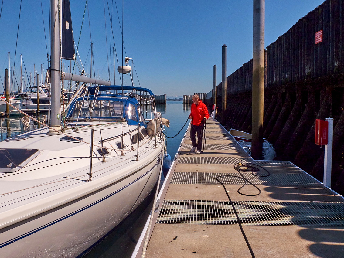 Jerry's Catalina 36