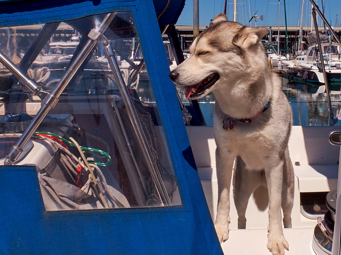 Jerry's Catalina 36