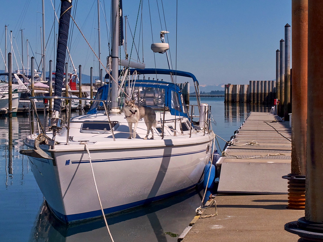 Jerry's Catalina 36