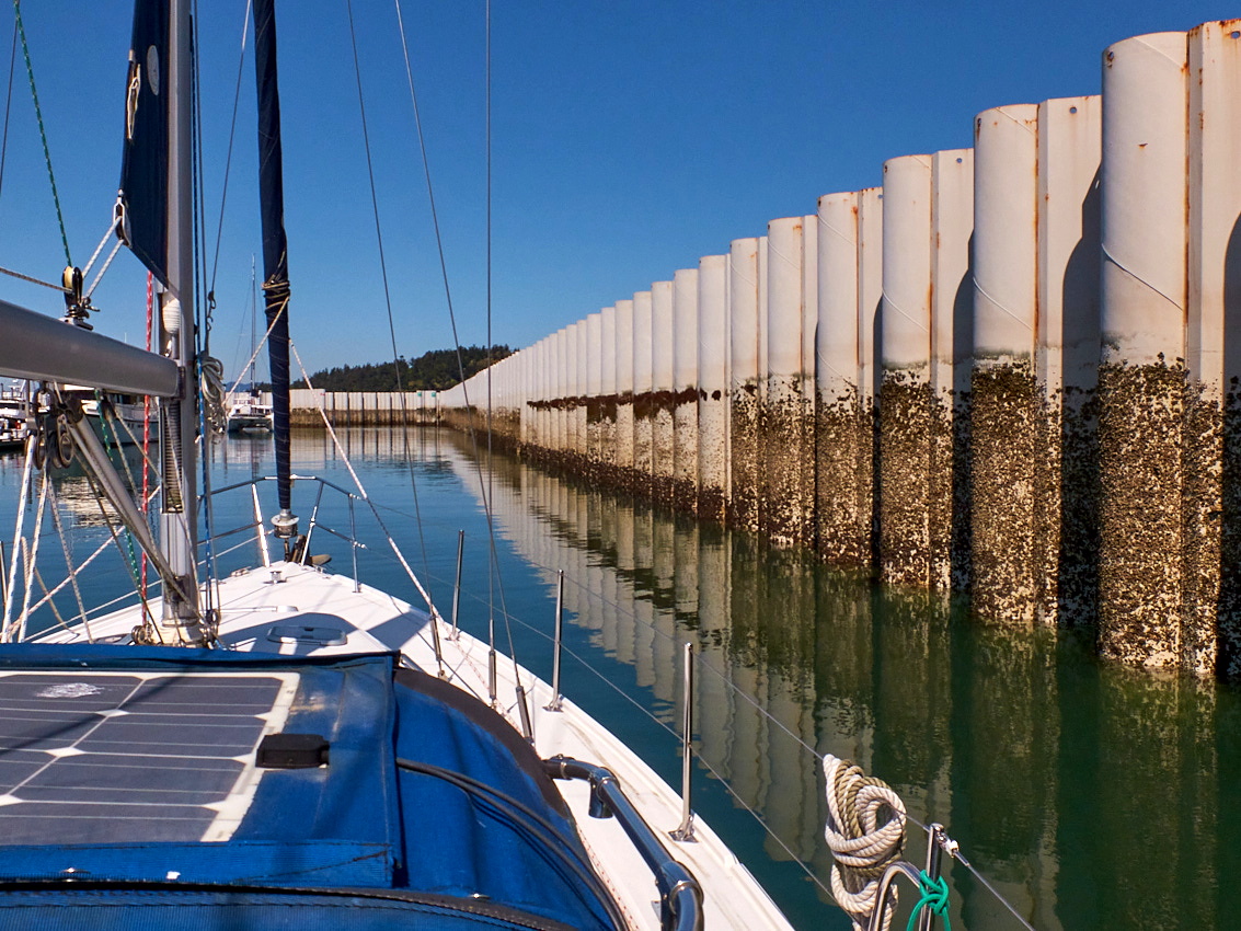 Jerry's Catalina 36