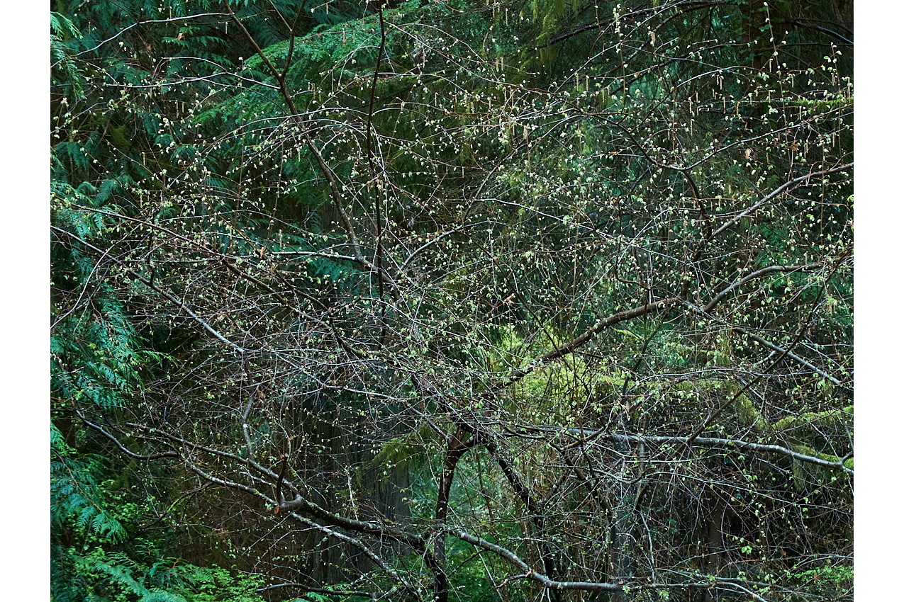 TeresaRob