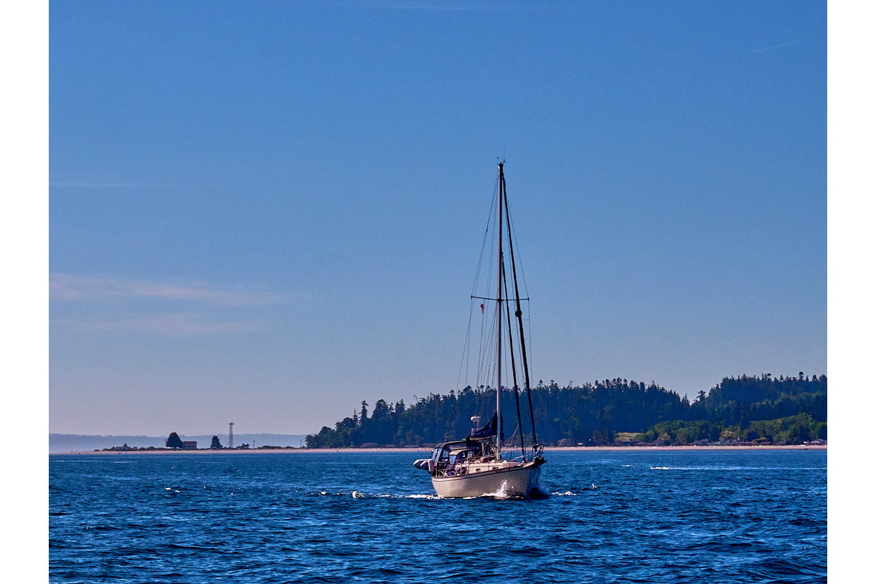 25.6.8_Amelia-Sequim