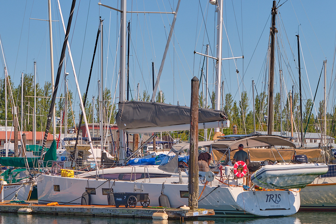 25.8.23_Coho-PT