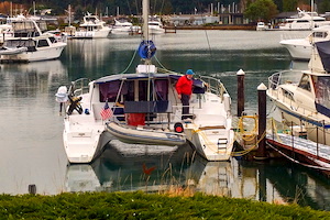 Mahe36.Delivery