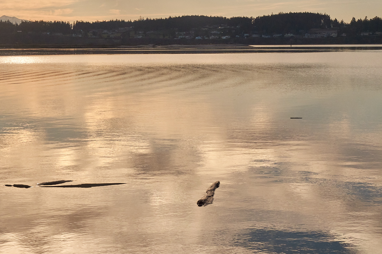 26.2.5_PennCove
