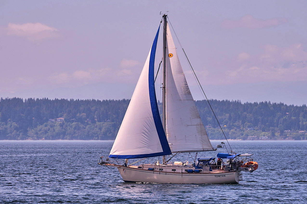 26.5.24_Coho.Tomten