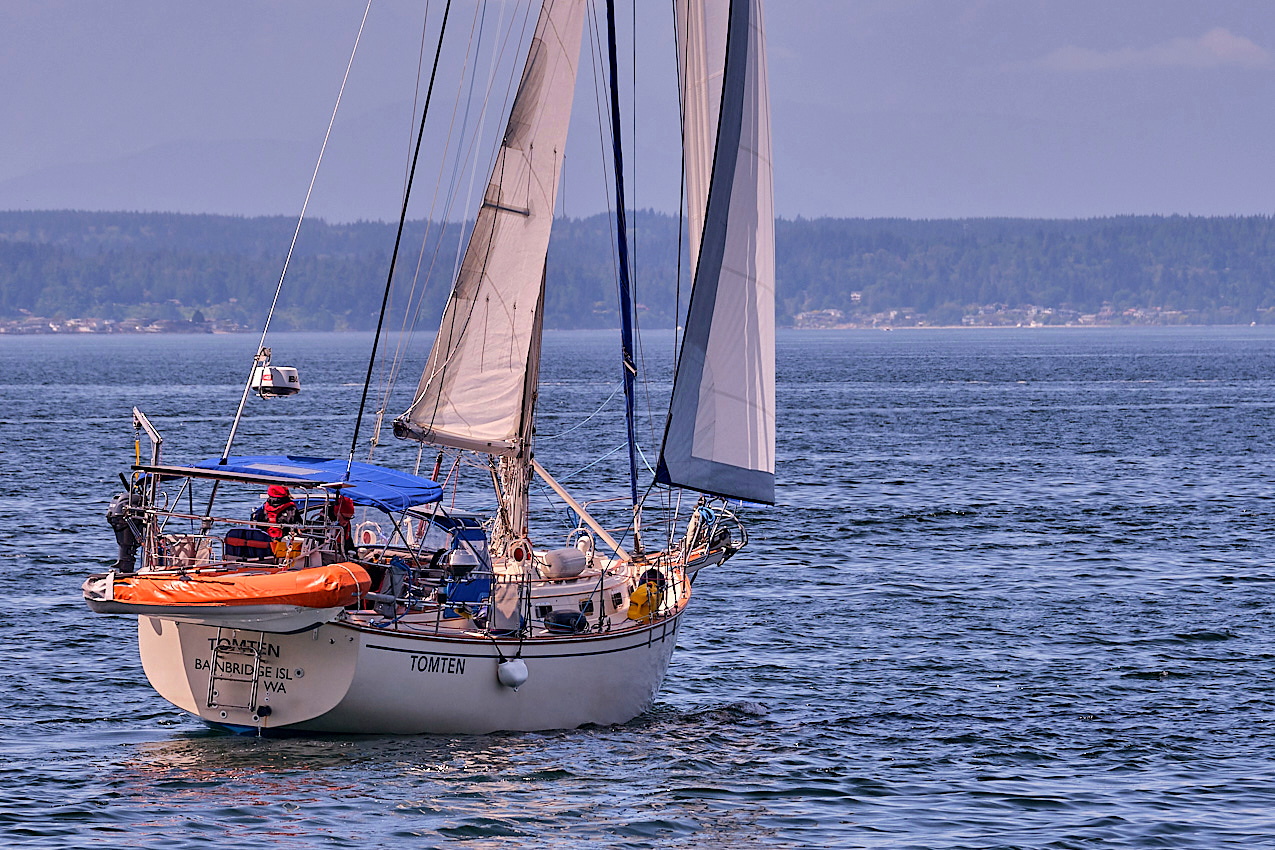 26.5.24_Coho.Tomten