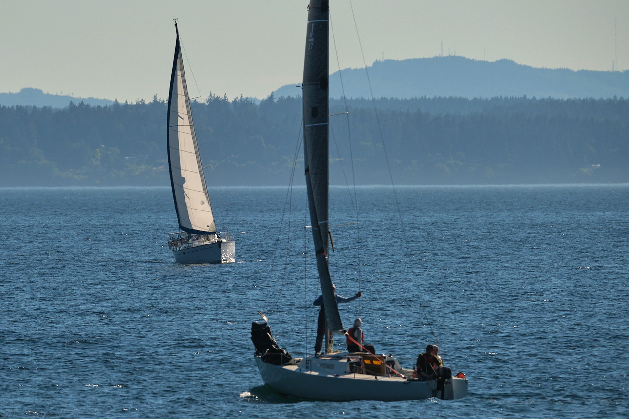 26.6.22_Coho.Somerled