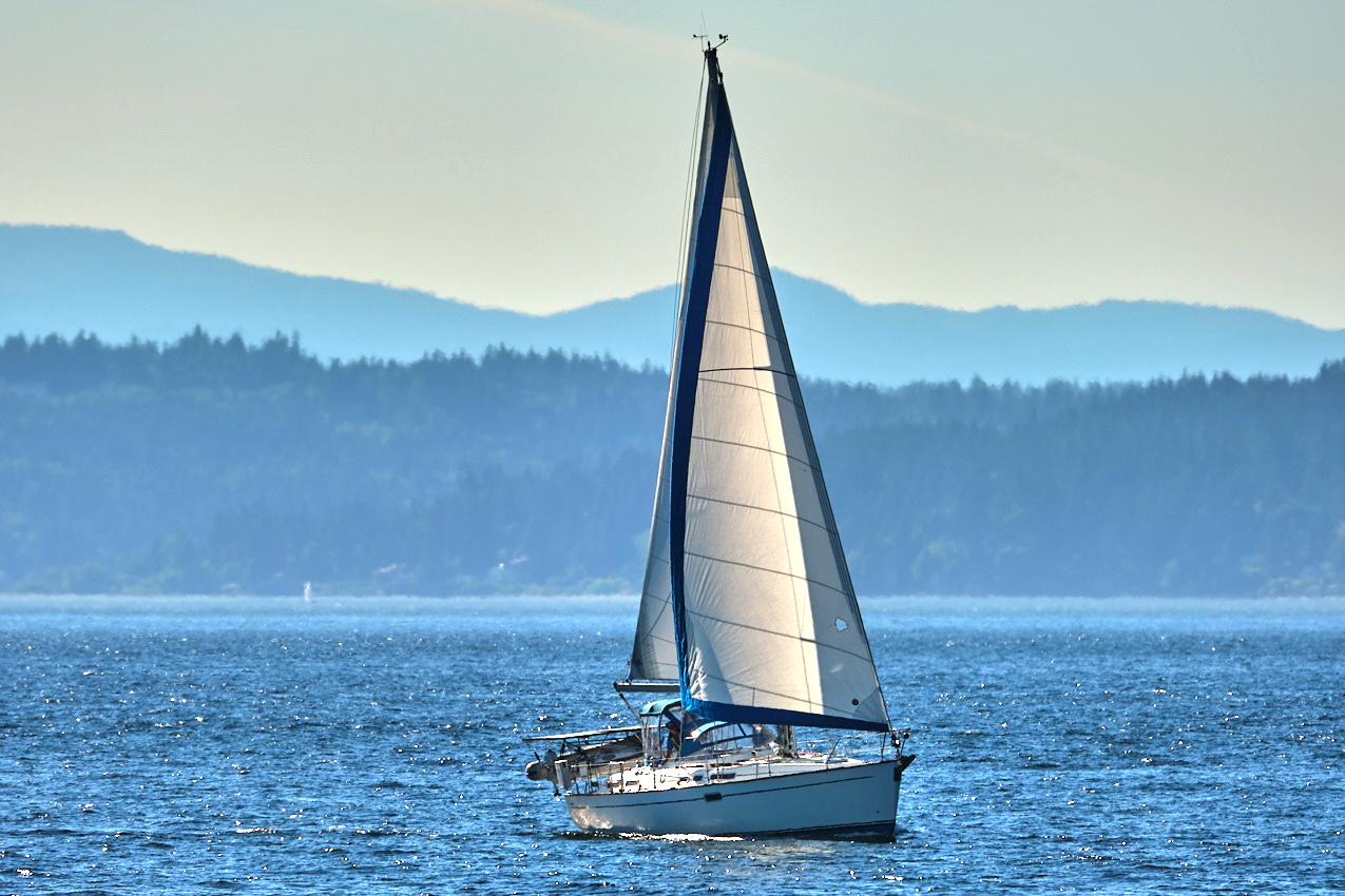 26.6.22_Coho.Somerled