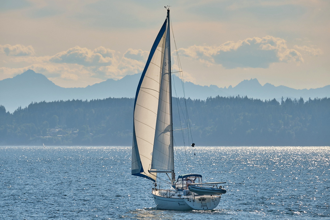26.6.22_Coho.Somerled