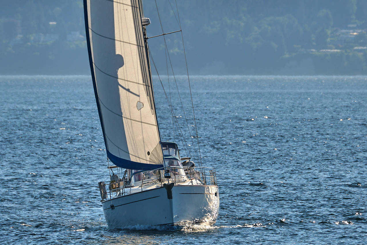26.6.22_Coho.Somerled