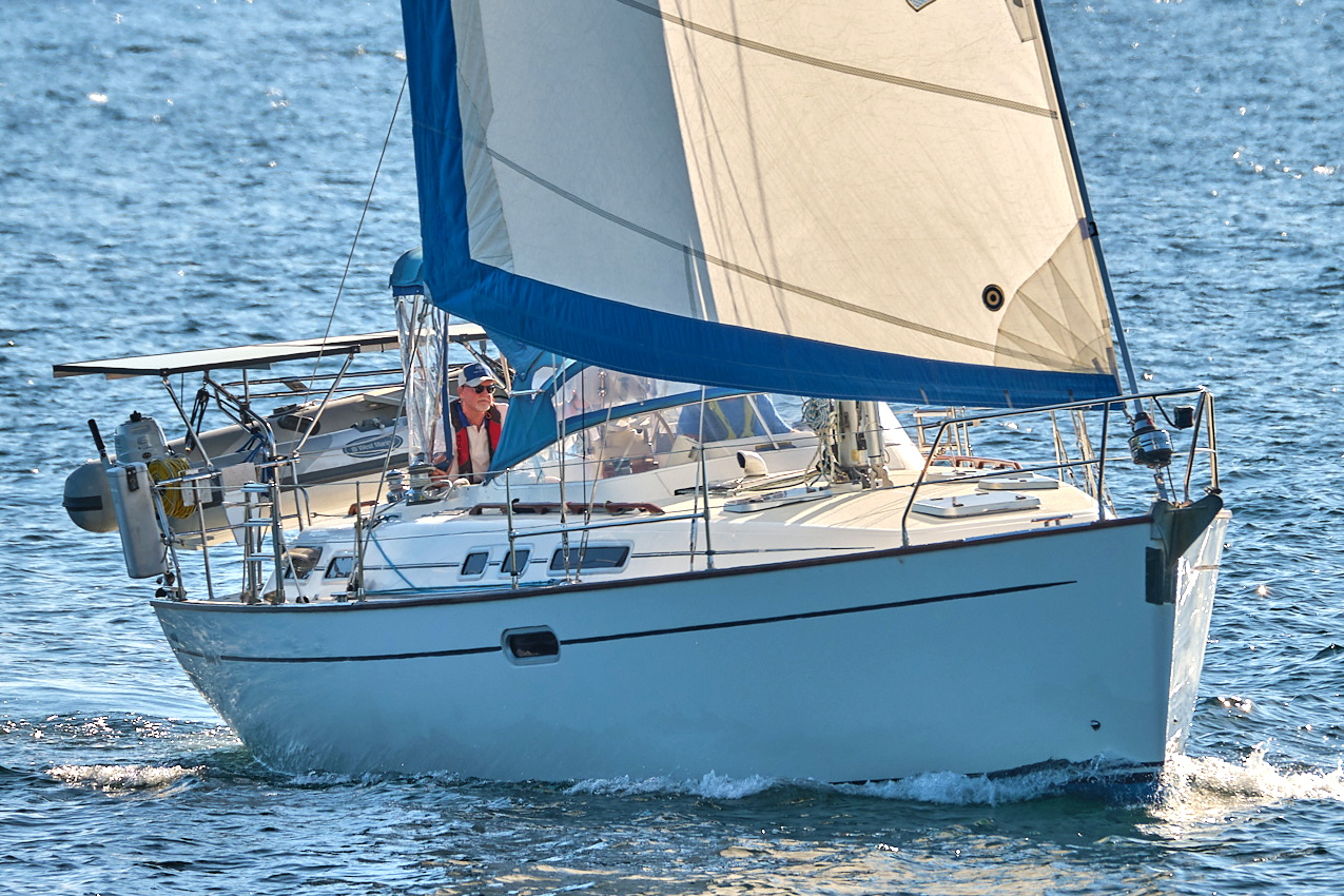 26.6.22_Coho.Somerled