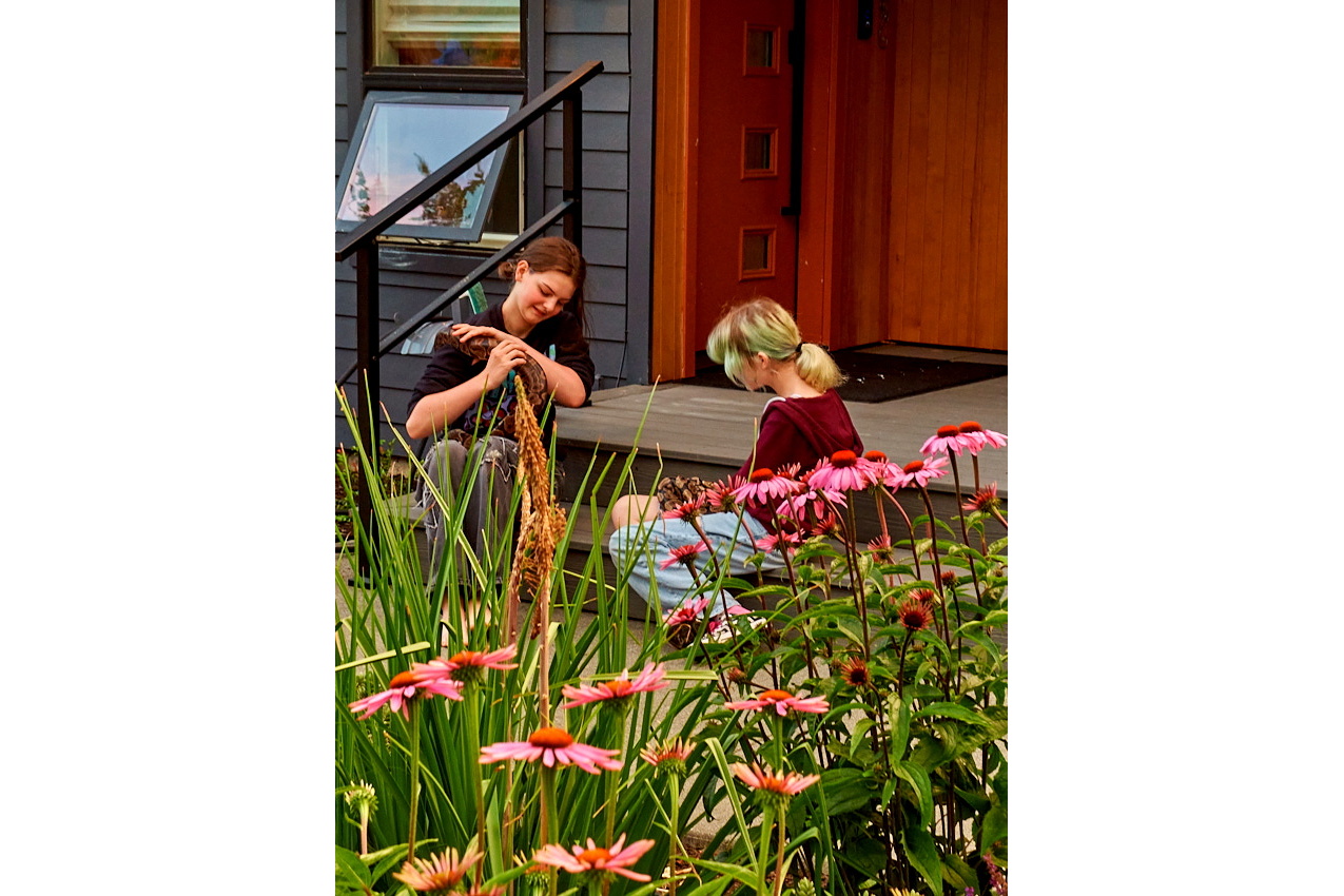 26.7.11_WestminsterTriangle