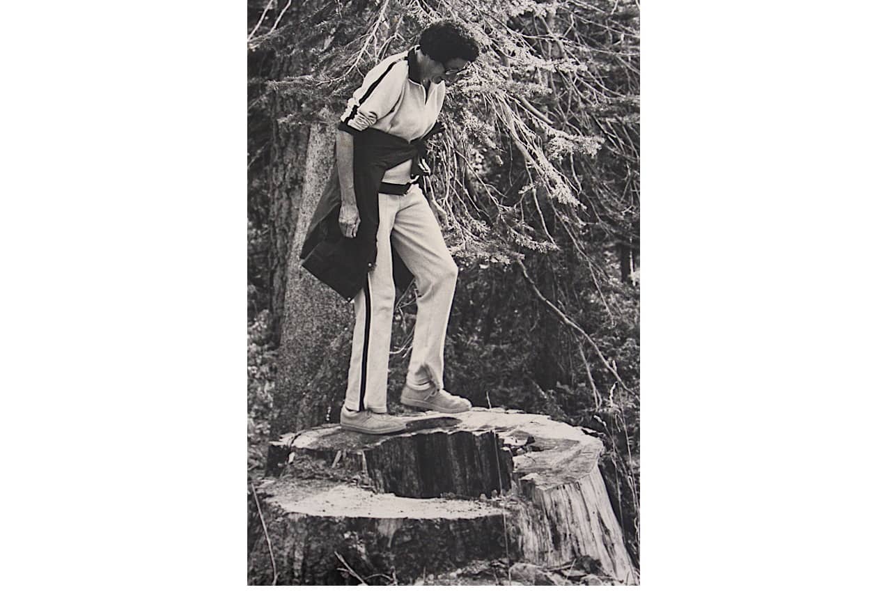 Common College.Jean on stump