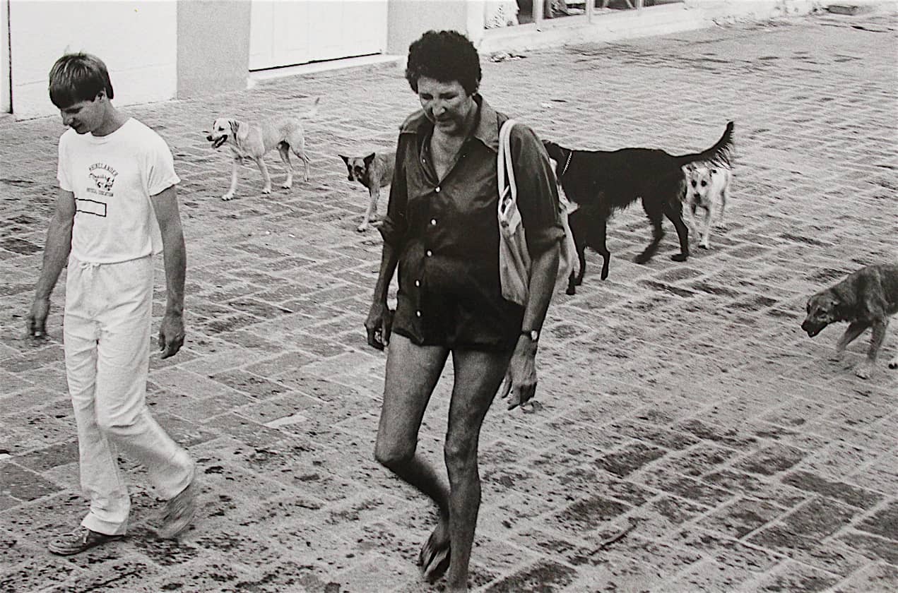 Common College.Steve & Jean w/dogs