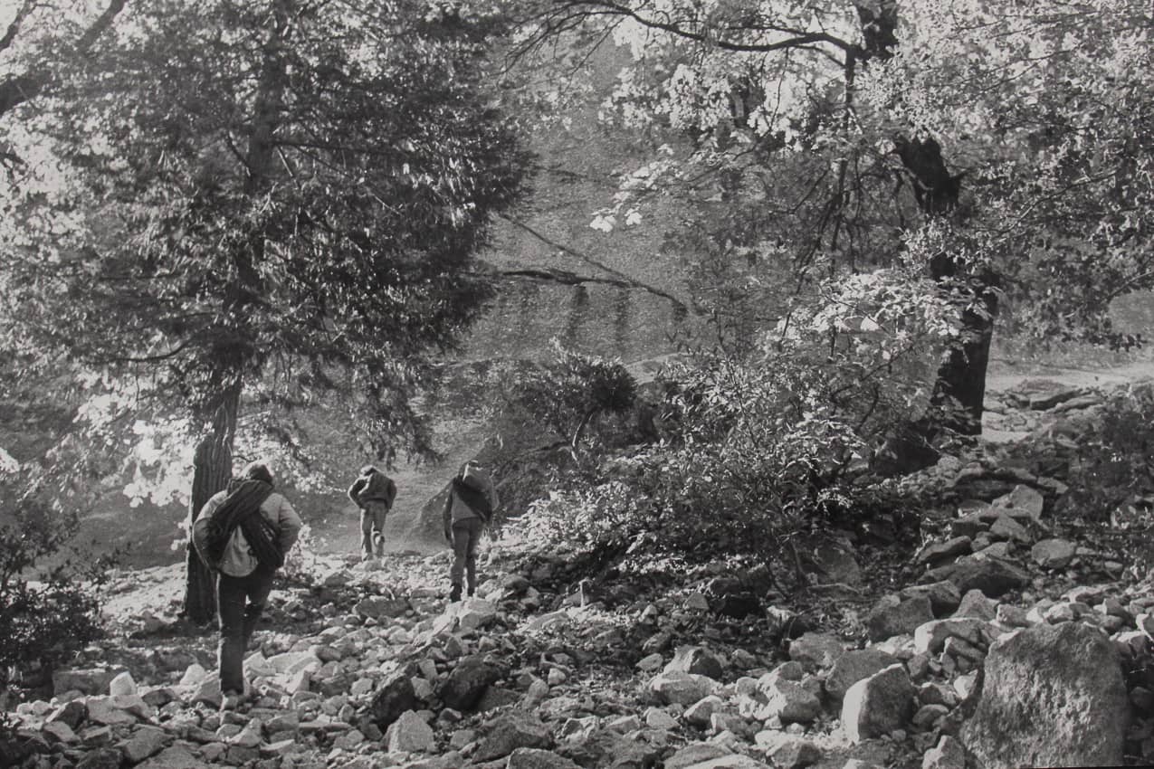 Common College.Yosemite climbing