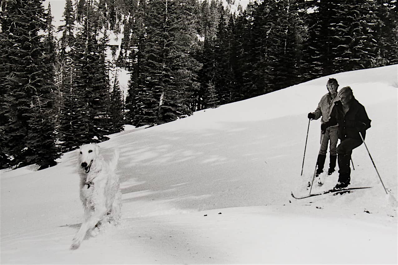 Common College.Borzoi, Ann & Pat